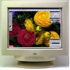 19" MONITOR 0.26 CTX  VL950T (1995UE)  TCO-95
