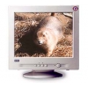 17" MONITOR 0.25 CTX  EX700F FLAT TCO"99