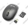 Genius Traveler 9000 Wireless BlueEye Black (RTL)  USB  3btn+Roll,  уменьшенная
