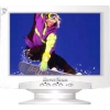 19" MONITOR 0.26 ROVERSCAN 119PS  TCO-99
