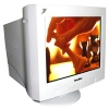 17" MONITOR 0.25 ROVERSCAN 117SF  TCO"99  FLAT