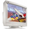 21" MONITOR VIEWSONIC P817 0.26  USB TCO-99 + HUB 4-PORT USB
