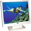 15"    MONITOR ROVERSCAN SLIM FLAT DIGITAL (LCD, 1024*768, +DVI, TCO"99)