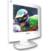 15"    MONITOR ROVERSCAN SLIM DIGITAL  (LCD, 1024*768,+DVI, TCO"99)