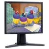 21.3" MONITOR VIEWSONIC VP211B BLACK THINEDGE (LCD, 1600X1200, +DVI, TCO"99)