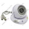Orient <DP-58G> CCD Camera (600TVL, Color, PAL,  f=3.6mm,  36  LED)