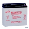 Аккумулятор Yuasa 12V17Ah (NP18-12)