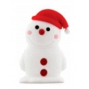 Флеш Диск Bone 8Gb PK110110-8W белый SNOWMAN