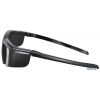 Очки для 3D телевизоров Samsung серии D SSG-P31002 комплект из 2-х 3D-очков (на батарейках SSG-3100GB) NEW
