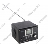 Колонки Kreolz SPFM-04 Black (2x5W, FM, SD/SDHC/MMC, дерево, Li-ion)