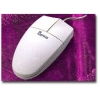 GENIUS MOUSEDEAR 2 BUTTON  USB