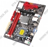 BioStar G31M (RTL) LGA775 <G31> PCI-E+SVGA+LAN SATA MicroATX 2DDR-II