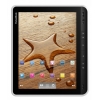 Электронная книга PocketBook 10" A10 черно-белый (3G,Android 2.3.5,WiFi,Touch screen)
