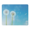 Коврик для мыши PC Pet Dandelion AM02 голубой рисунок (AM02 DAND) (мин.кол.5)