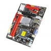 BioStar G41D3C (OEM) LGA775<G41> PCI-E+SVGA +LAN SATA MicroATX 2DDR-III