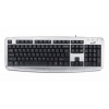 Клавиатура Genius KB110X серебристый/черный USB (31300711115)
