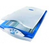 MUSTEK BEAR PAW 1200TA  (A4 COLOR, PLAIN 600*1200DPI, USB)