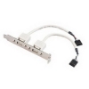 Слот-адаптер USB внутренний/внешний, 2 порта, 0.45 м, для вывода интегрированных портов на заднюю стенку компьютера, Hama     [ObC] (H-45020)