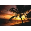 Коврик Natural Collection, Palm Moods, спец. пластик  Brite, 3мм (Fellowes, США) (FS-58750)