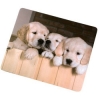 Коврик для оптической мыши Puppies, толщина 1 мм, шелковый, Hama     [OhC] (H-52242)