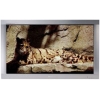 42"  LG FLATRON PLASMA  <MT-42PZ44S> (852X480, D-SUB, DVI)