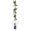 (DR08011-4LG) Флэш-драйв Bone Dinosure driver 4ГБ, зеленый, Retail (FD-4GB/B_DINO/LG)