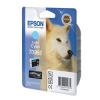 EPSON Картридж для Stylus Photo R2880 (светло-голубой) (EPT09654010)