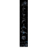 ROCCAT APURI (ROC-15-310-AS/ROC-15-311-AS) Концентратор (ХАБ) USB 2.0  на 4 порта с подсветкой, держателем провода,  в форме скорпиона (ROC_APURI)