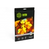 Фотобумага Cactus CS-HGA426020 Professional, суперглянцевая, А4, 260 г/м2, 20 листов