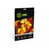 Фотобумага Cactus CS-SGA426020 Professional, полуглянцевая, А4, 260 г/м2, 20 листов