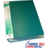 PV100 Папка с 100 прозрачными вкладышами., ф.А4