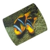 Коврик для мыши Coral Fish, Hama     [OpC] (H-50269)