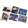 Коврик для мыши Animals, 6  раcцветок, Hama     [OdC] (H-50281)