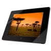 Цифровая фоторамка 8" (20.3 см) + ДУ, 800х600, 256 Мб, картридер/USB 2.0/3.5 jack, аудио/видео, часы/календарь/будильник, черный, Hama     [OxF] (H-95216)
