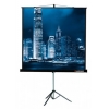 Экран на треноге Lumien 153x203см Master View LMV-100107 4:3 напольный рулонный