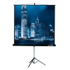 Экран на треноге Lumien 180x180см Master View LMV-100103 1:1 напольный рулонный