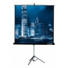 Экран на треноге Lumien 203x203см Master View LMV-100109 1:1 напольный рулонный