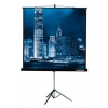 Экран на треноге Lumien 244x244см Master View LMV-100105 1:1 напольный рулонный