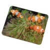 Коврик для мыши Clownfish, толщина 3 мм, ПВХ, Hama     [OhC] (H-54724)