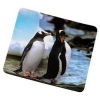 Коврик для мыши Penguins, Hama     [OpC] (H-50274)