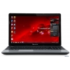 Ноутбук Packard Bell EasyNote TE11-HC-171RU (NX.C1FER.003) Intel B960/2G/320G/DVD-SMulti/15.6"HD/WiFi/cam/Win7 HB