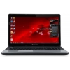 Ноутбук Acer PB EasyNote ENTE11HC-B9702G32Mnks Pentium B970/2Gb/320Gb/DVDRW/UMA/15.6"/HD/1366x768/WiFi/W7HB64/Cam/6c/black (NX.C1FER.008)