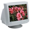 19" MONITOR 0.26 NEC ACCUSYNC 90 MPRII