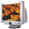 17" MONITOR 0.20 PLUS UPS SYSTEMS MP-793  TCO"99