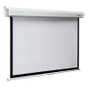 Экран 225x300см Digis Optimal-B DSOB-4307 настенно-потолочный рулонный