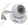 Orient <DP-928N>  CCD Camera (600TVL, Color, PAL, f=3.6mm,  10 LED)