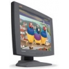 17"    MONITOR VIEWSONIC VE170B <BLACK> VIEW PANEL (LCD, 1280X1024, TCO"95)