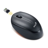 Мышь Genius DX-6020, беспроводная оптическая, 1200 dpi, mini-ресивер, 3 кнопки, black (GM-DX 6020 Blk)
