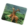 Коврик для мыши Giraffe, 180х220х3мм, Hama     [OpC] (H-54741)