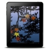 Планшет iRU Pad Master A10/RAM1Gb/ROM8Gb/9.7" 1024*768/WiFi/2Mpix/0.3Mp/And4.0/aluminum/IPSII/support 3G (НЕТ)